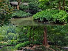 -杭州植物园