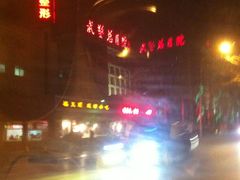 -中国人民解放军总医院第三医学中心