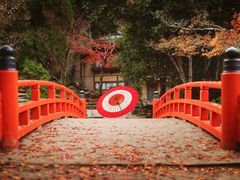 -醍醐寺
