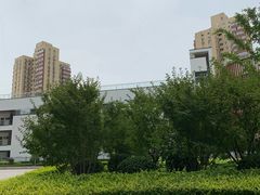-中国宋庆龄青少年科技文化交流中心