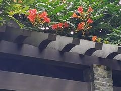 -东山雕花楼