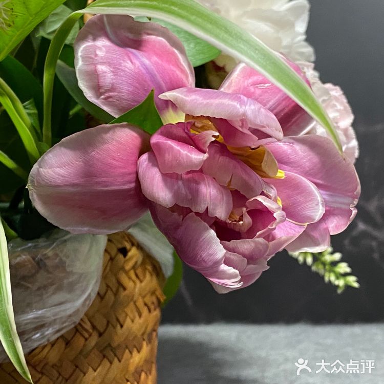 桔叶2枝 棒槌草（野草）2枝 金边吊兰2枝