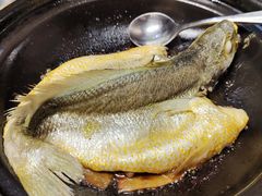 原汁原味焗黄花鱼-八月小厨· 湛江风味粤菜