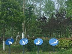 -白鹭湾湿地公园