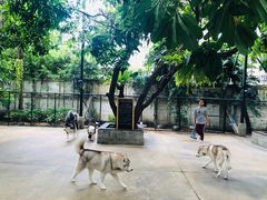 -TrueLove @ Neverland (Husky Cafe)