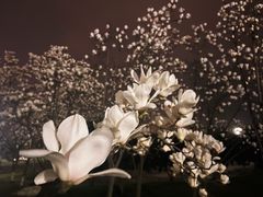 -尚贤河湿地