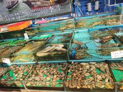 水产区-渔人码头(洛溪店)
