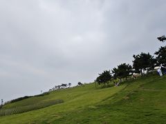 -小麦岛公园