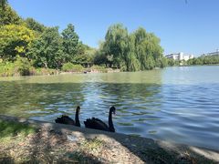 -东华大学(松江校区)