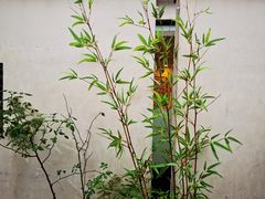 -梁溪河畔·吉府花园(南长街南下塘店)
