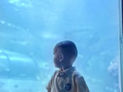 -左海海底世界