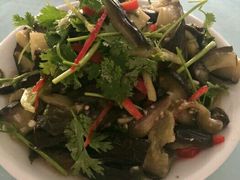 -水韵湾生态农庄