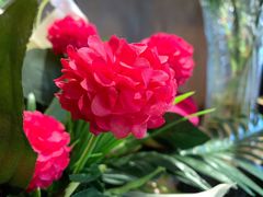 景观位-大铁勺新津菜(东丽阳光新业广场店)