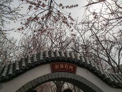 -桃花堤公园