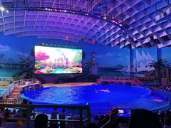 -海合安武汉极地海洋公园