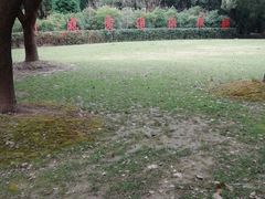 -上海交通大学医学院附属瑞金医院(总院)