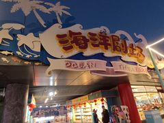 -海合安武汉极地海洋公园