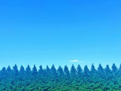 -嘉北郊野公园