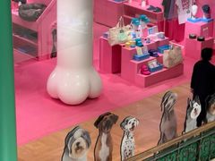 -乐蓬马歇百货公司(Rive Gauche)