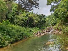 -广州白江湖森林公园