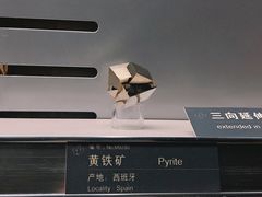 -中国地质博物馆