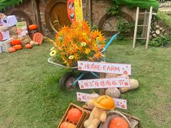 -HERRE·FARM 赫尔露营农场·团建聚会包场