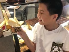 -新加坡瑞士史丹福酒店