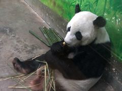 -柳州市动物园