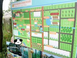 -前小桔亲子创意农场·草莓采摘·露营烧烤