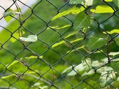 -西南民族大学南区(双流校区)