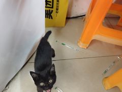 -锅贴大王南翔小笼(临沂二村店)