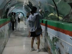 -东方巨龟苑景区