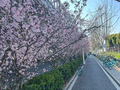 -武汉传媒学院