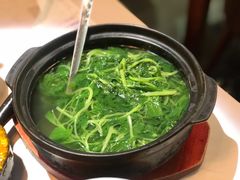 豆苗-荟廷·晶萃(陆家嘴尚悦湾店)