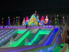 -沈阳奥体冰雪嘉年华