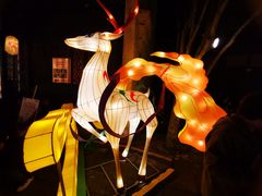 -横店影视城梦幻谷园区