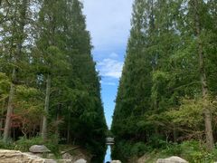 -东平国家森林公园