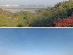 -广州莲花山旅游区