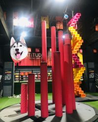 -latitude乐图空间(建宁路店)