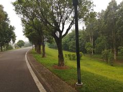 -福建鲤鱼洲酒店