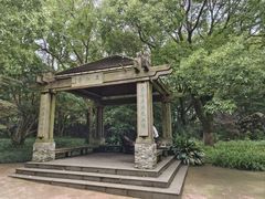 -上海吴淞炮台湾国家湿地公园