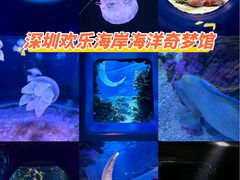 -欢乐海岸海洋奇梦馆