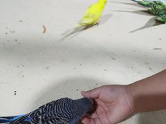 -大连圣亚海洋世界