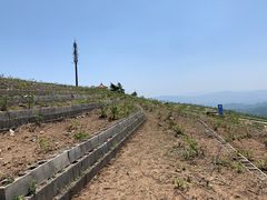 -妙峰山风景名胜区