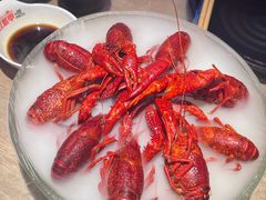 精品冰镇龙虾-红盔甲·小龙虾(车公庙店)