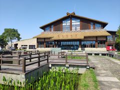 -宁波杭州湾国家湿地公园
