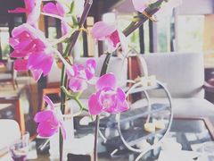 -三亚湾海居铂尔曼度假酒店