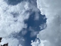 -武陵山森林公园