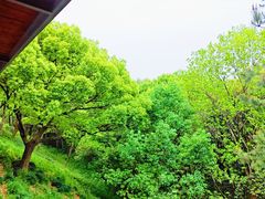 -西湖风景区-江洋畈生态公园