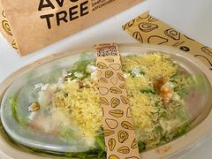 -油梨树 AVOCADO TREE(亮马桥店)
